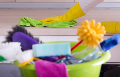 Domestic cleaning tools arranged for a tidy home routine