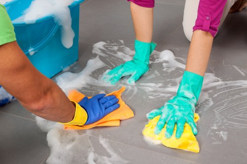 Essential house cleaning supplies arranged neatly