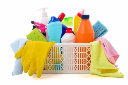 Professional carpet cleaning in a living room