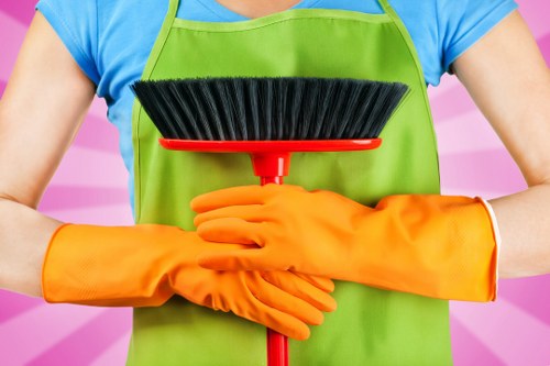 Choosing the right carpet cleaning for a home or office