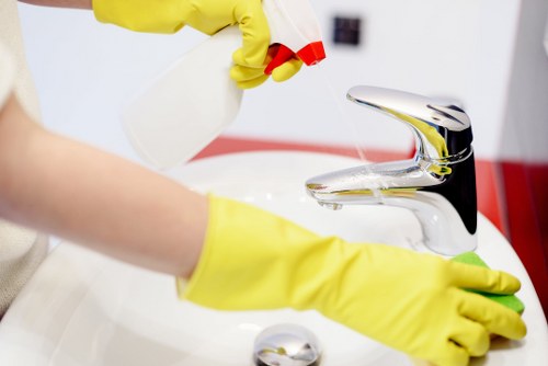 Bathroom domestic cleaning and sanitizing tasks
