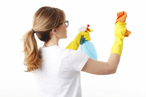Bathroom deep cleaning for move out inspection