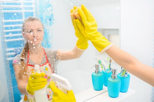 Professional cleaning supplies used for business sanitation