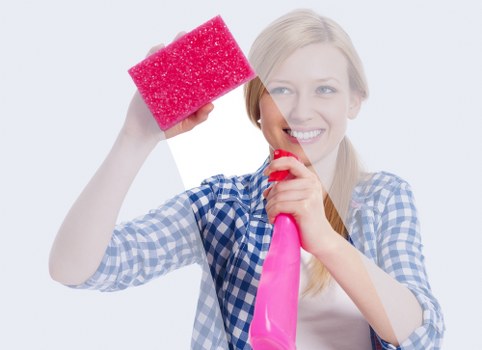 Professional-style deep cleaning checklist and cleaning products