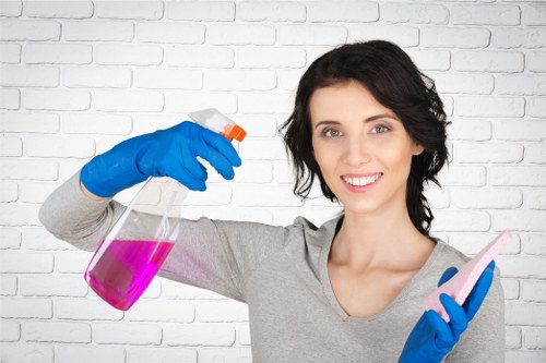 Professional dry cleaning and fabric treatment in Tufnell Park